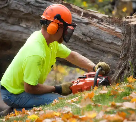 tree services Corvallis